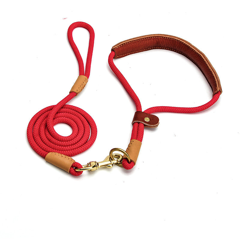 Slip Rope Leash